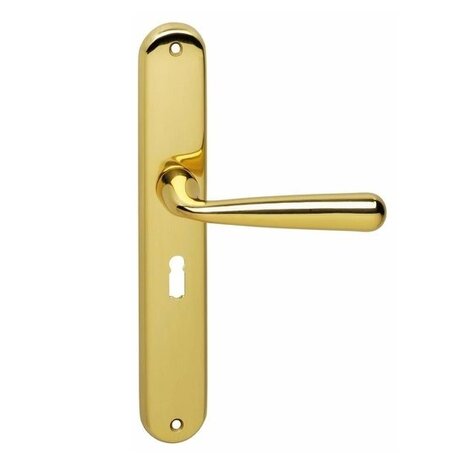 Intersteel Deurklink yvonne op schild sleutelgat 56 mm messing gelakt