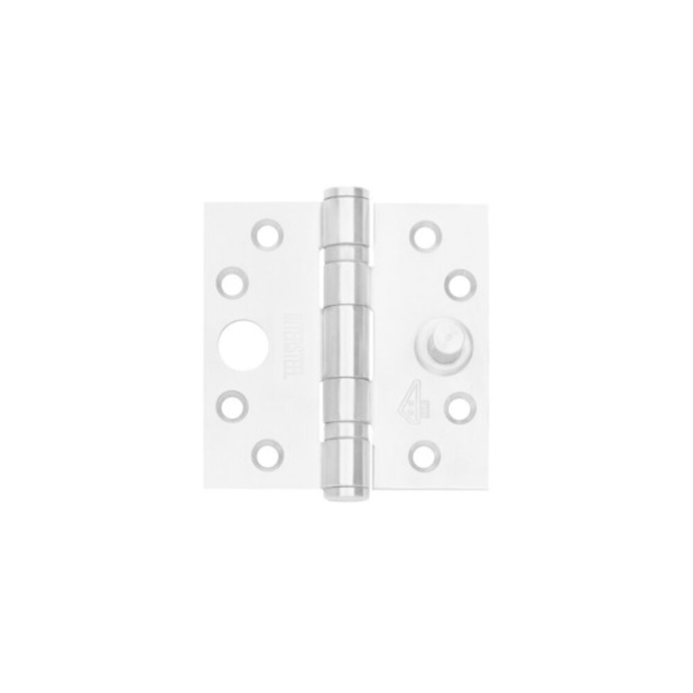 Intersteel Kogellagerscharnier SKG3 geborsteld RVS recht tot 80 kilo Intersteel Kogellagerscharnier SKG3 geborsteld RVS recht tot 80 kilo