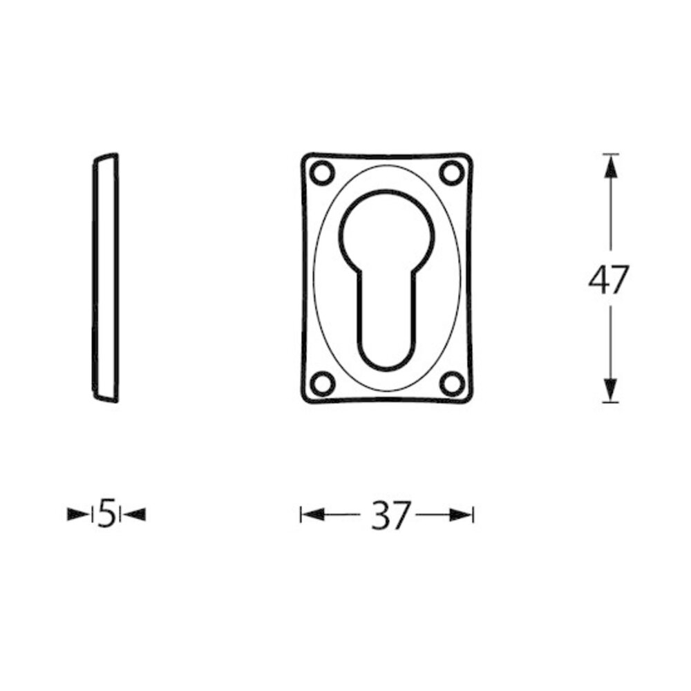 Intersteel Cilinderrozet rechthoekig nikkel