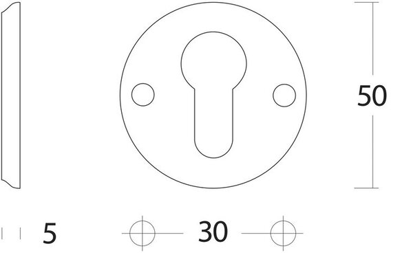 Intersteel Rozet profielcilindergat schroefgat messing gelakt Intersteel Rozet profielcilindergat schroefgat messing gelakt