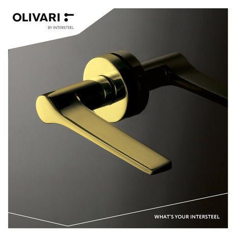 Olivari Deurklink Lama L op rozet messing titaan PVD Olivari Deurklink Lama L op rozet messing titaan PVD