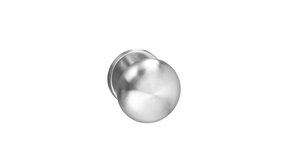 Intersteel Deurklink Paddenstoel op rozet met ring geborsteld RVS Intersteel Deurklink Paddenstoel op rozet met ring geborsteld RVS