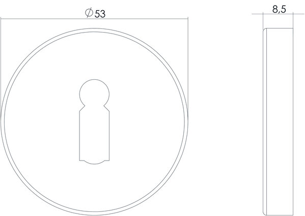 Intersteel Sleutelrozet rond verdekt geborsteld RVS Intersteel Sleutelrozet rond verdekt geborsteld RVS