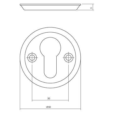 Intersteel Cilinderrozet schroefgat nikkel Intersteel Cilinderrozet schroefgat nikkel