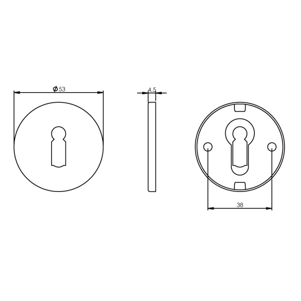 Intersteel Sleutelrozet geborsteld RVS mat zwart