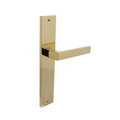 Intersteel Deurklink Hera op schild messing titaan PVD Intersteel Deurklink Hera op schild messing titaan PVD