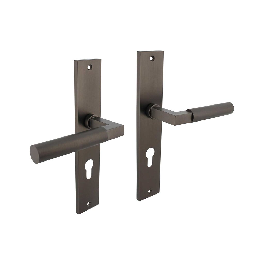 Intersteel Deurklink Bau-Stil op schild profielcilindergat 72mm antraciet grijs Intersteel Deurklink Bau-Stil op schild profielcilindergat 72mm antraciet grijs