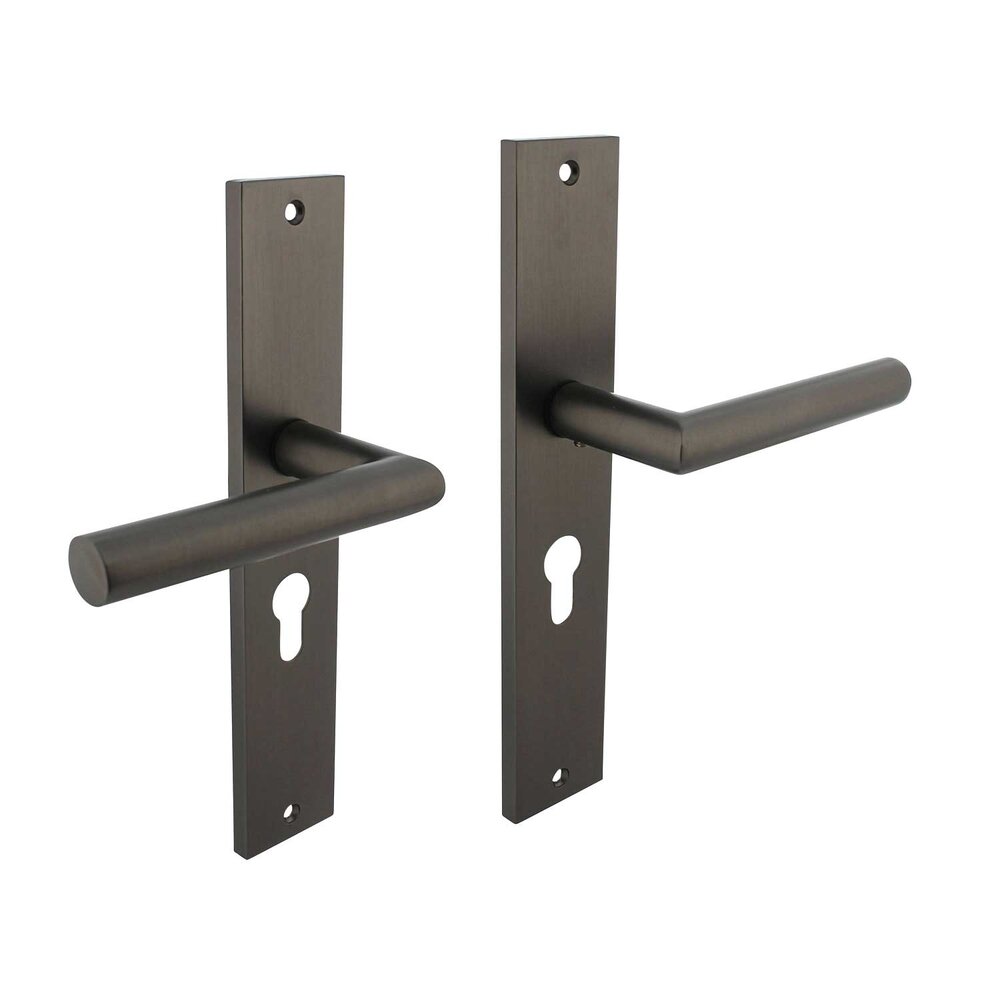 Intersteel Deurklink Bastian op schild 245x45 mm profielcilindergat 55mm antracietgrijs Intersteel Deurklink Bastian op schild 245x45 mm profielcilindergat 55mm antracietgrijs