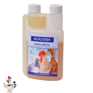 Wielink Anti Luis / Worm – 10 ML