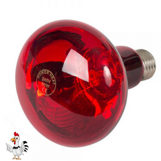 Powerheat Warmtelamp – Rood – 60 Watt
