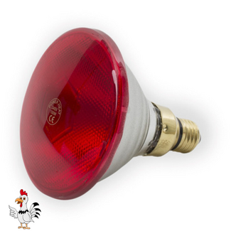 Powerheat Warmtelamp – Rood – 175 Watt