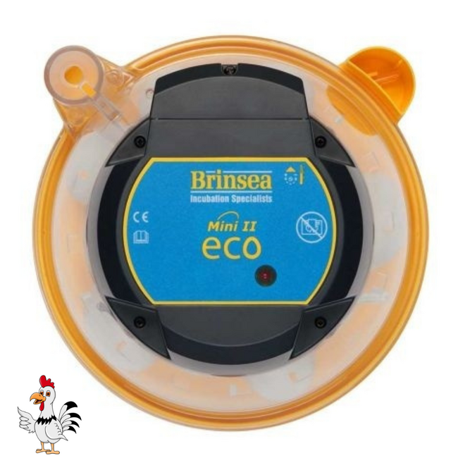 Broedmachine - Voor 10 eieren - Geel en zwart