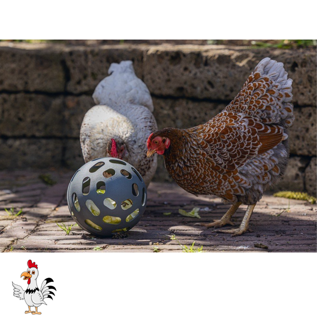 Kippen snackbal - Speelgoed voor kippen - Ø15 – Grijs