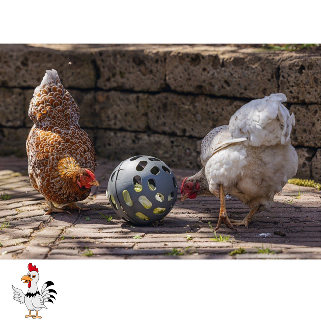 Kippen snackbal - Speelgoed voor kippen - Ø15 – Grijs