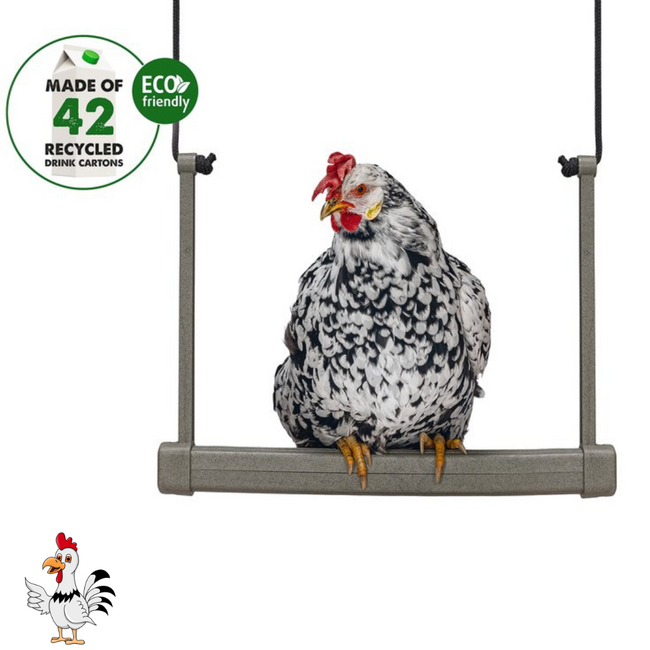 Kippenschommel – Houdt kippen bezig en actief - 40x5x30 cm – Grijs