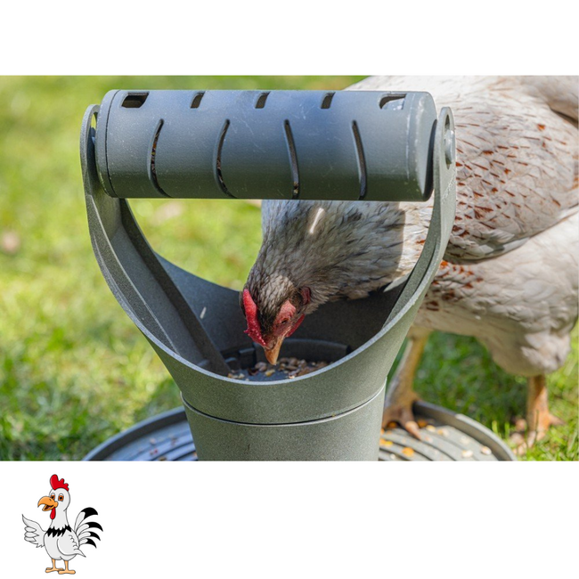 Speel- en Snacktoren – Speelgoed voor kippen - 30x30x30 cm