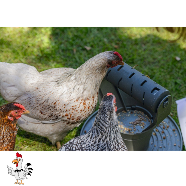 Speel- en Snacktoren – Speelgoed voor kippen - 30x30x30 cm