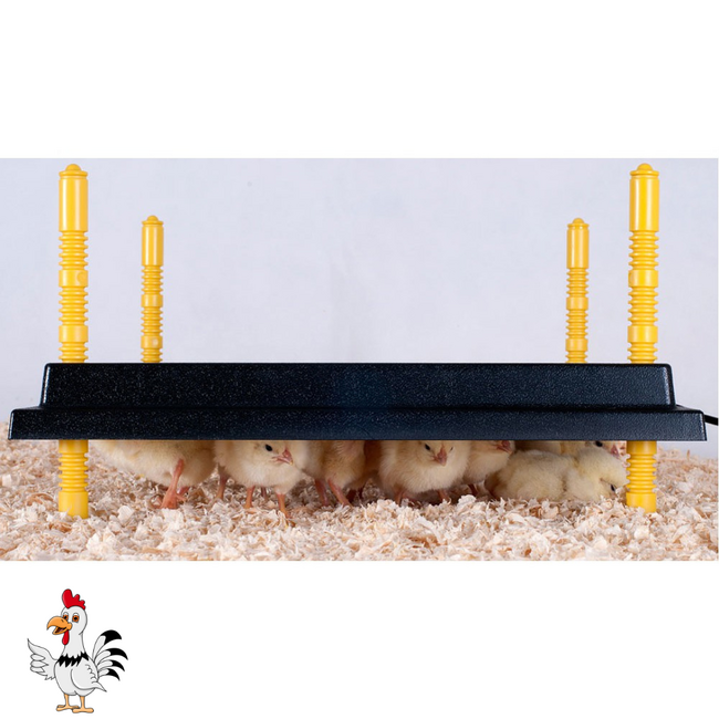 Warmteplaat - Houdt kuikens warm tijdens groei - 30x30 cm