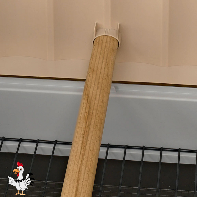 Plastic Kippenhok – Handig verblijf voor kippen - 140 x 139 x 110 cm