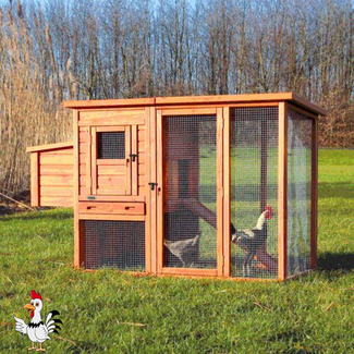 Trixie Kippenhok met ren - 170 x 105 x 77 cm