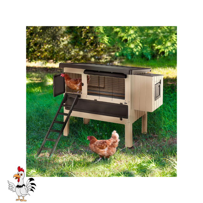 Plastic Kippenhok – Handig verblijf voor kippen - 160 x 139 x 110 cm