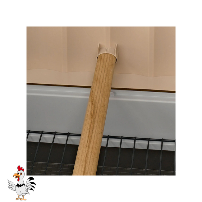 Plastic Kippenhok – Handig verblijf voor kippen - 160 x 139 x 110 cm