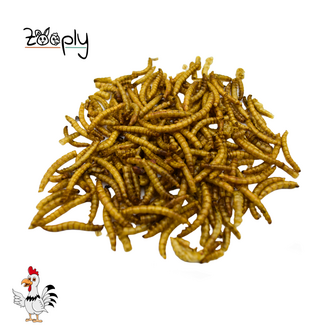 Zooply Meelwormen – 5 kg