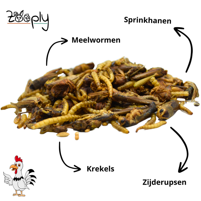 Zooply Insectenmix 450 gram - Gedroogde Insecten voor Kippen en ander Pluimvee - Gezonde Snack
