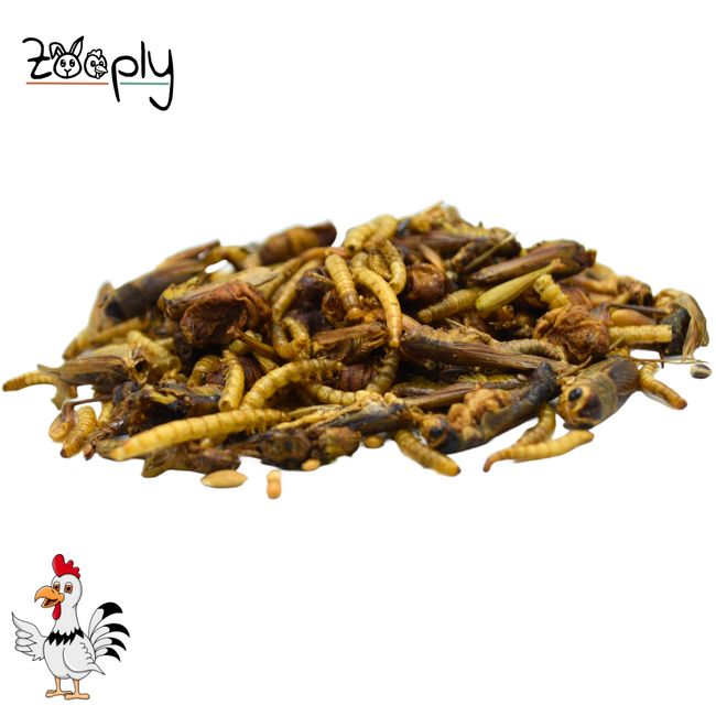 Zooply Insectenmix 750 gram - Gedroogde Insecten voor Kippen en ander Pluimvee - Gezonde Snack