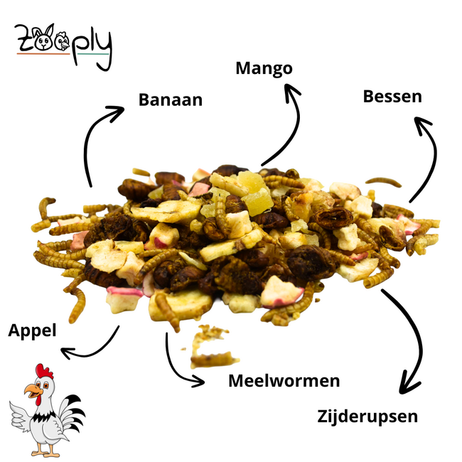 Zooply Fruit en Insectenmix 850 gram - Gedroogde Insecten voor Kippen en ander Pluimvee - Gezonde Snack