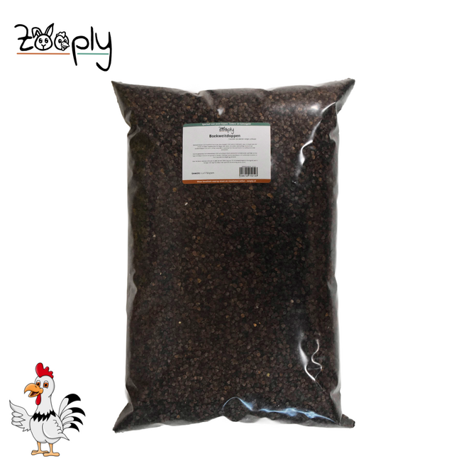 Boekweitdoppen - Nestmateriaal voor Kippen - 1750 gram