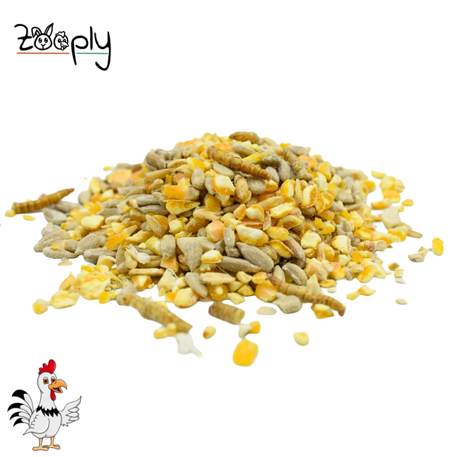 Zooply Maïs en Mix 1,5 kg - Gedroogde Insecten voor Kippen en ander Pluimvee - Gezonde Snack