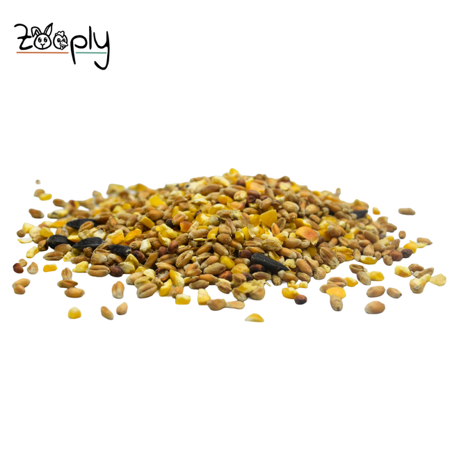 Scharrelgraan voor kippen – Strooivoer voor kippen en ander pluimvee – 10 kg