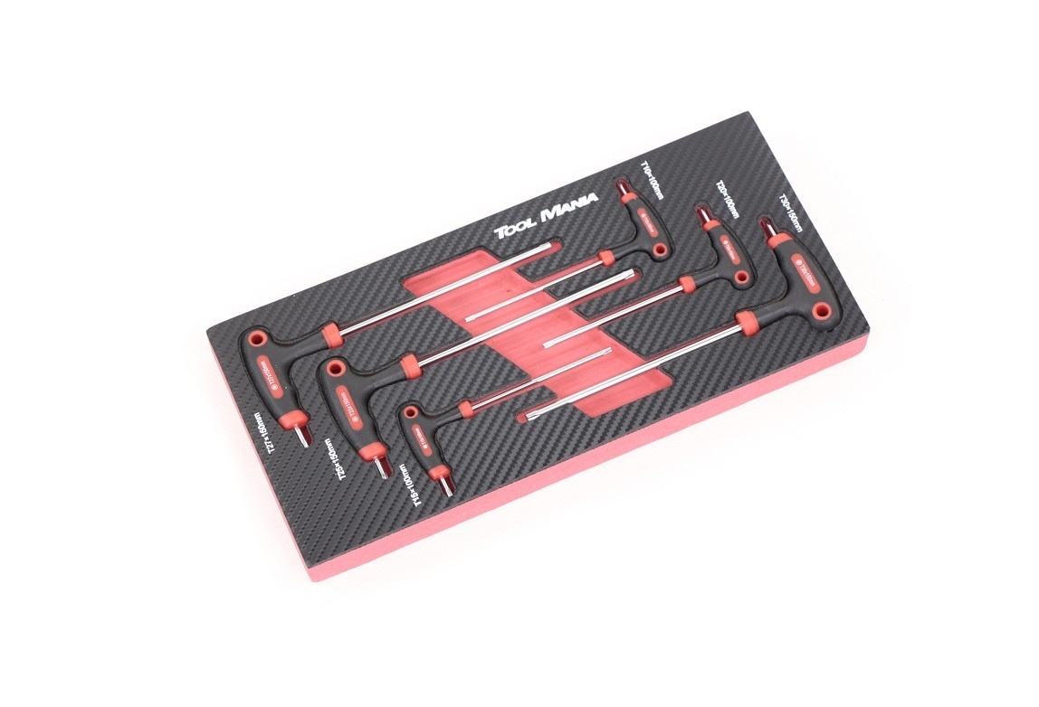 Ensemble de 6 clés Torx à poignée en T TM avec insert en mousse à effet carbone.