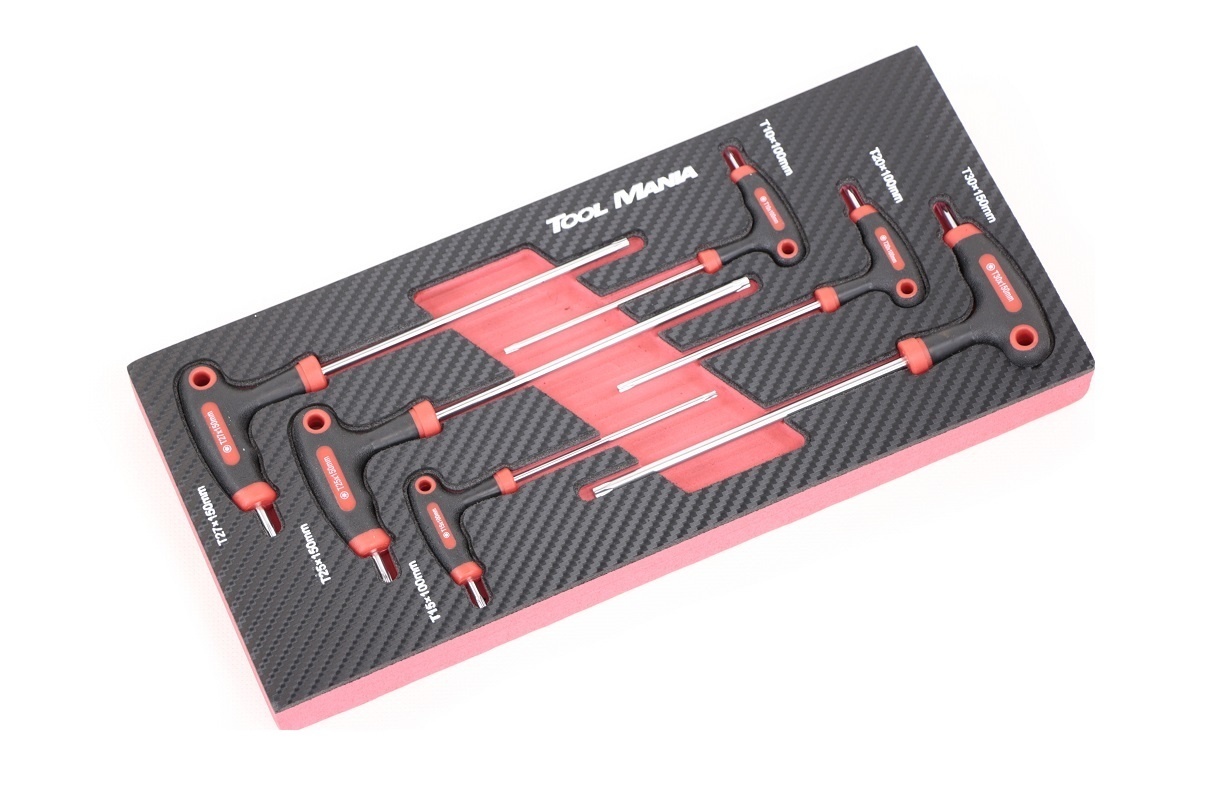 Ensemble de 6 clés Torx à poignée en T TM avec insert en mousse à effet carbone.