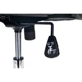 Fauteuil De Bureau, Ergonomique Chaise De Bureau , Noir