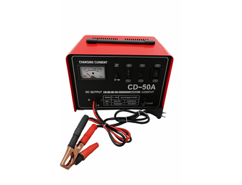 Chargeur de batterie professionnel TM, 12, 24 volts