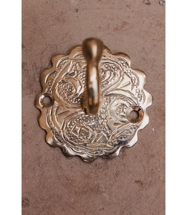 Wandhaak Peacock | goud & zilver