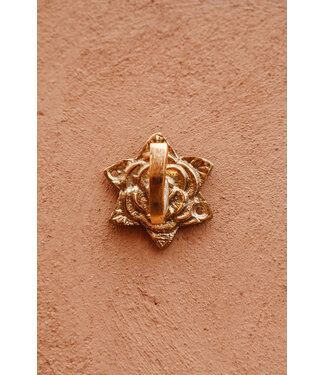 BACK SOON! Wandhaak Rose