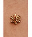 Wandhaak Rose