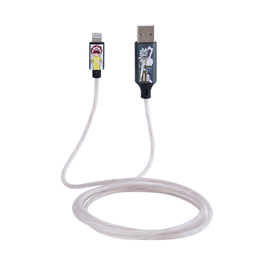 Lazerbuilt Rick & Morty - light up charging cable - MFI