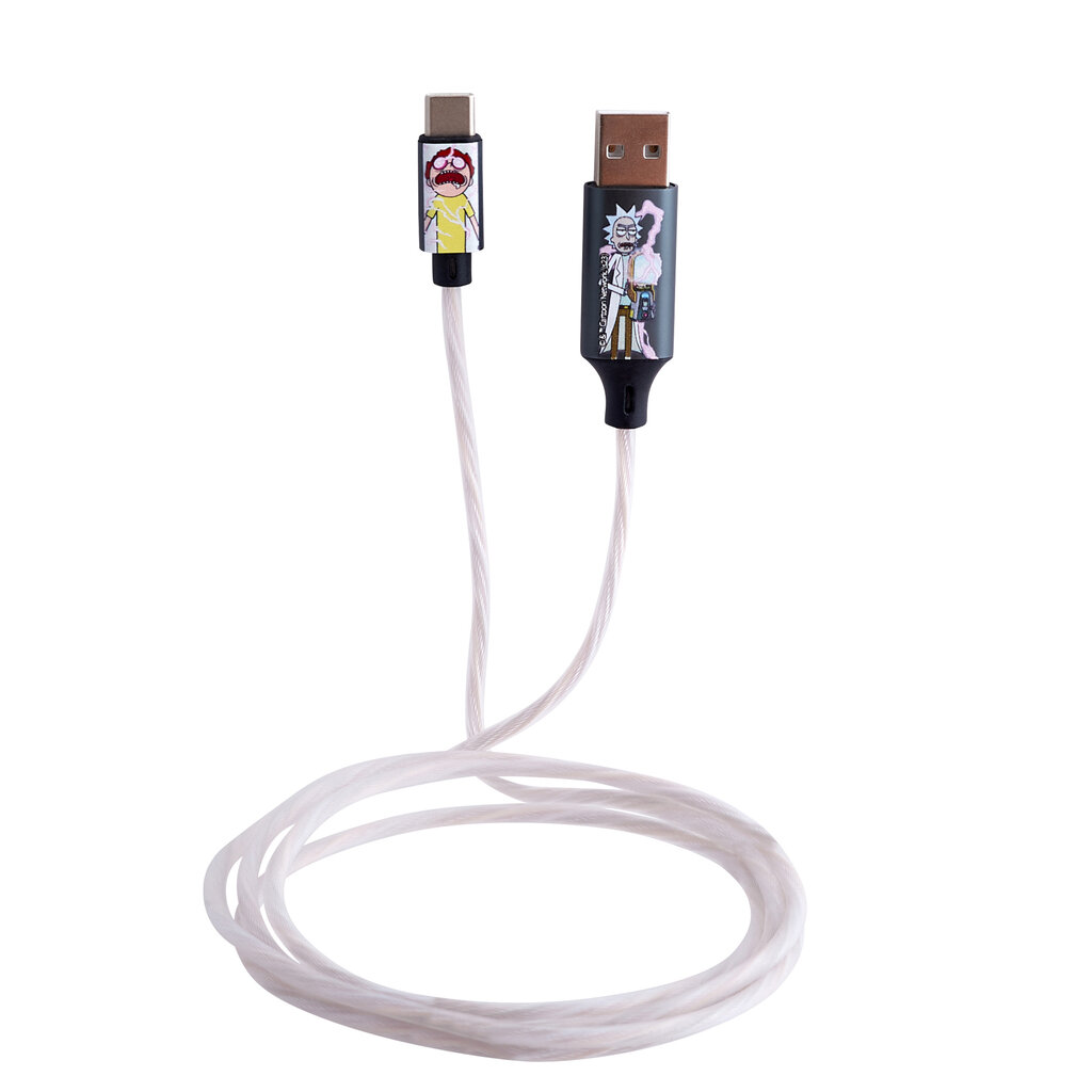 Lazerbuilt Rick & Morty - light up charging cable - USBC
