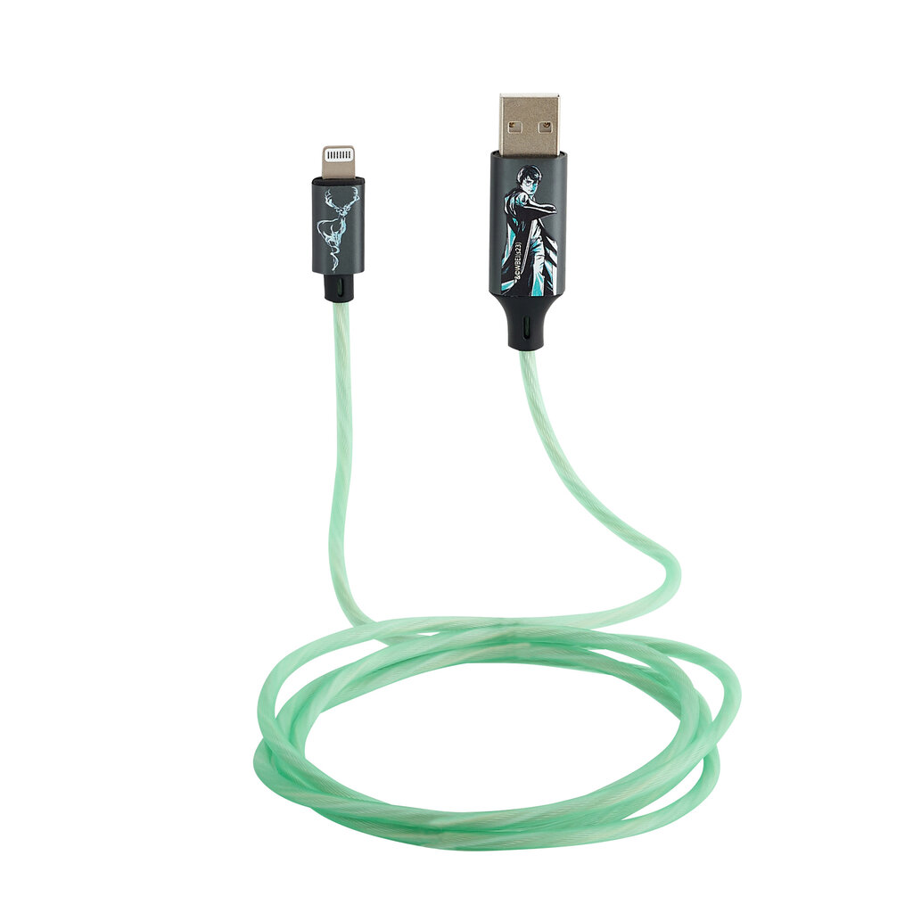 Lazerbuilt Harry Potter - light up charging cable - MFI