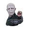 Harry Potter Harry Potter - Lord Voldemort - beeld