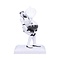 Stormtrooper Stormtrooper - Time's Up - figurine