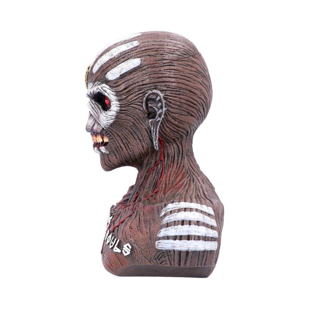 Iron Maiden Iron Maiden - the book of souls - storage box