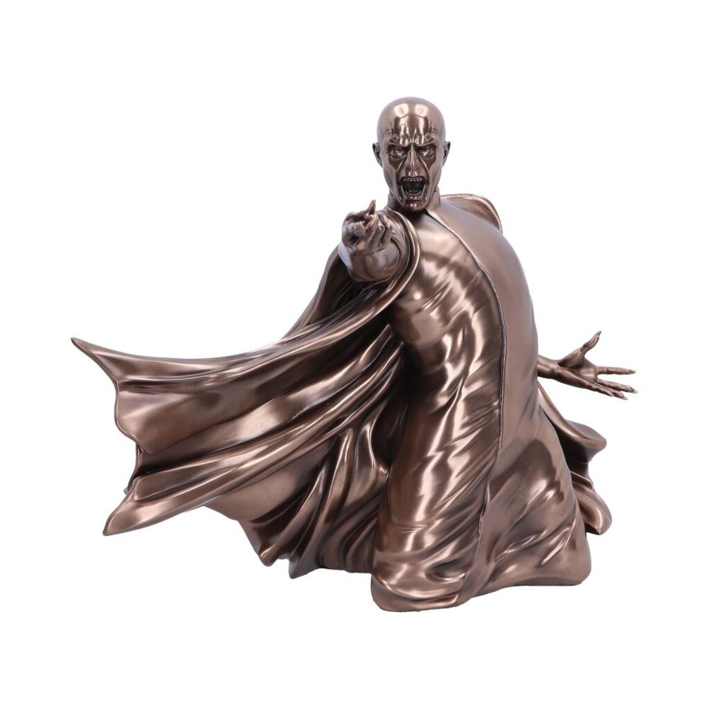 Harry Potter Harry Potter - Voldemort Duel - bust