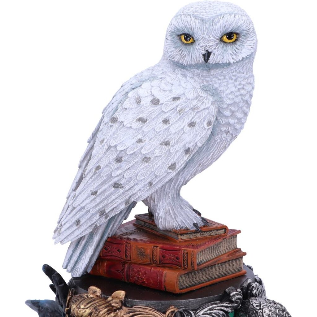 Harry Potter Harry Potter - Hedwig - bust