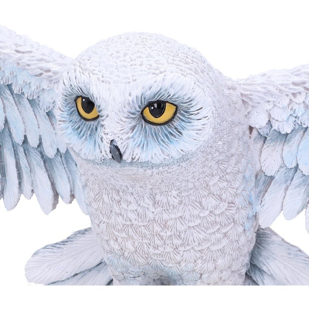 Harry Potter Harry Potter - Hedwig - 3D wall decoration