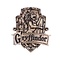 Harry Potter Harry Potter - Gryffindor - 3D wall decoration